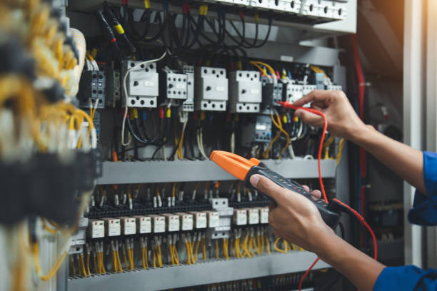 Best Electric Panel Repair  in Crane, TX